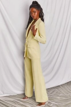 Wide Leg Trousers In Yellow 19 Wide Leg Trousers In Yellow -Glam Dress Store 3196 11 power house yellow tailored wide leg trouser blazer suit set 1