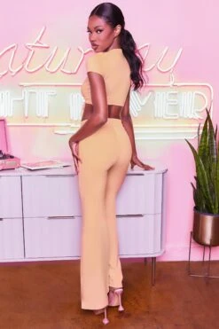 Laid Back Wide Leg Trousers In Peach -Glam Dress Store 3401 take the plunge 3097 laid back 10 peach high waisted flare trousers plunge front tie capped sleeve crop top 5