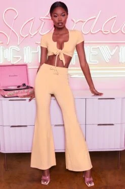 Laid Back Wide Leg Trousers In Peach -Glam Dress Store 3401 take the plunge 3097 laid back 4 peach high waisted flare trousers plunge front tie capped sleeve crop top 15 bottommain 2 e1e1a278 c0b7 4cc8 b910 831b6b34afca