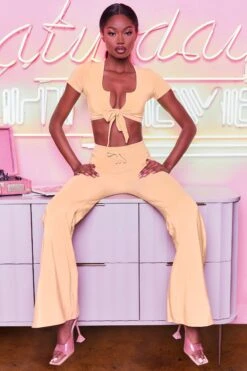 Laid Back Wide Leg Trousers In Peach -Glam Dress Store 3401 take the plunge 3097 laid back 5 peach high waisted flare trousers plunge front tie capped sleeve crop top 16 5