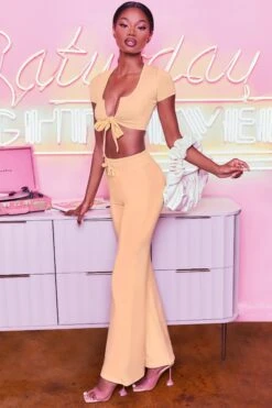 Laid Back Wide Leg Trousers In Peach -Glam Dress Store 3401 take the plunge 3097 laid back 9 peach high waisted flare trousers plunge front tie capped sleeve crop top 5