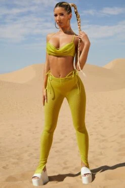 Petite Embellished Mesh Trousers In Lime