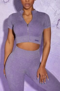 Short Sleeve Zip Crop Top In Violet