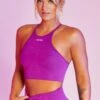 Seamless High Neck Crop Top In Purple